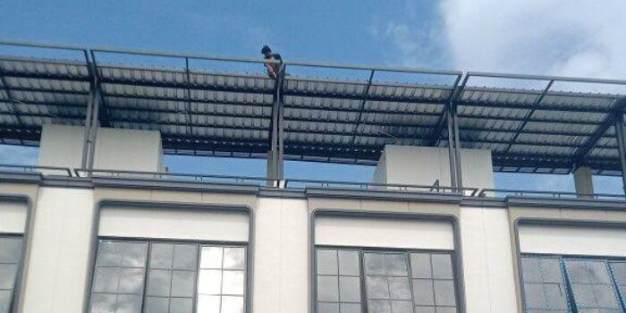 Bengkel Tralis Terdekat di Depok – Spesialis Pagar & Kanopi